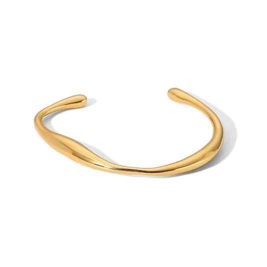 18K Gold Plated Titanium Bangle Bracelet | JDB289