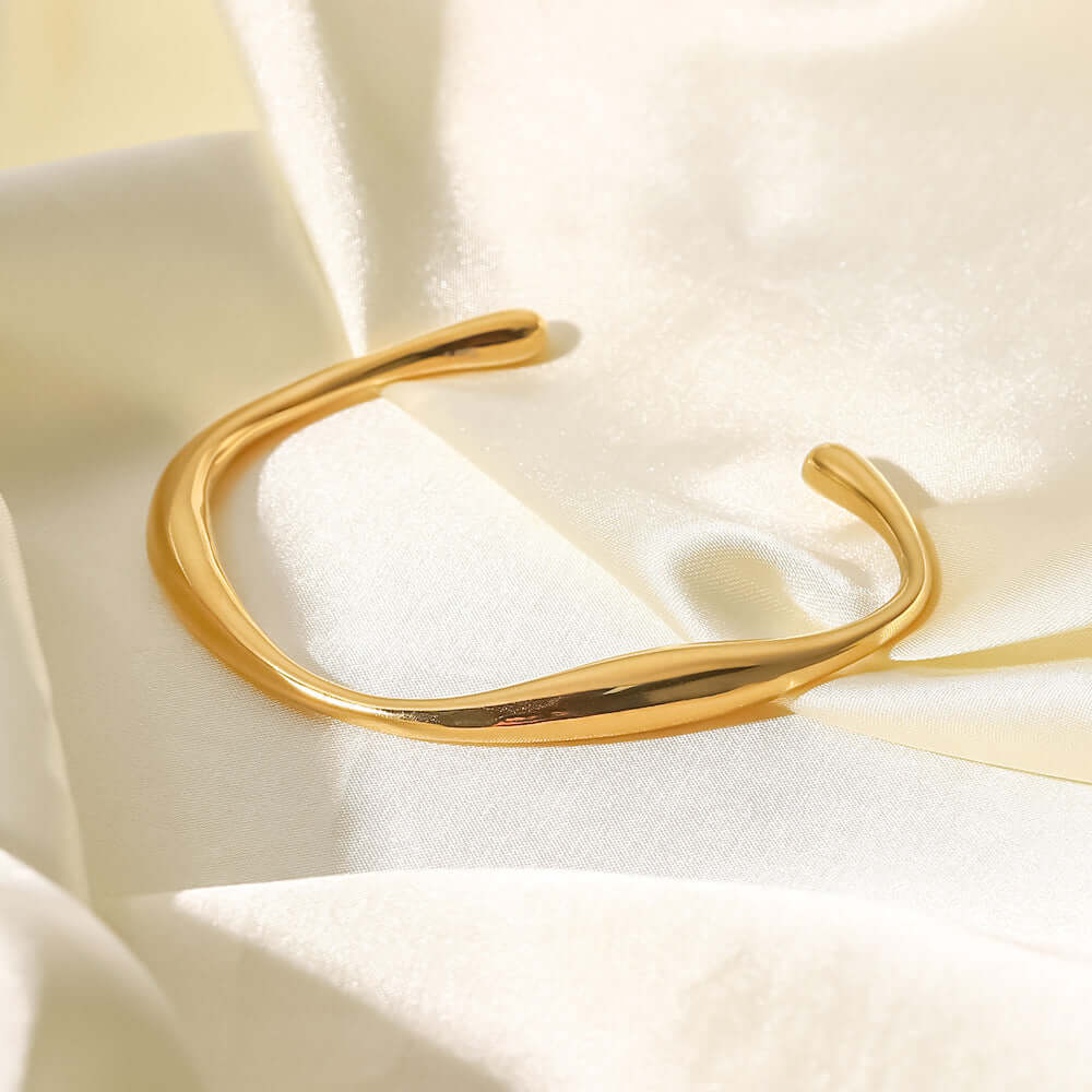 18K Gold Plated Titanium Bangle Bracelet | JDB289