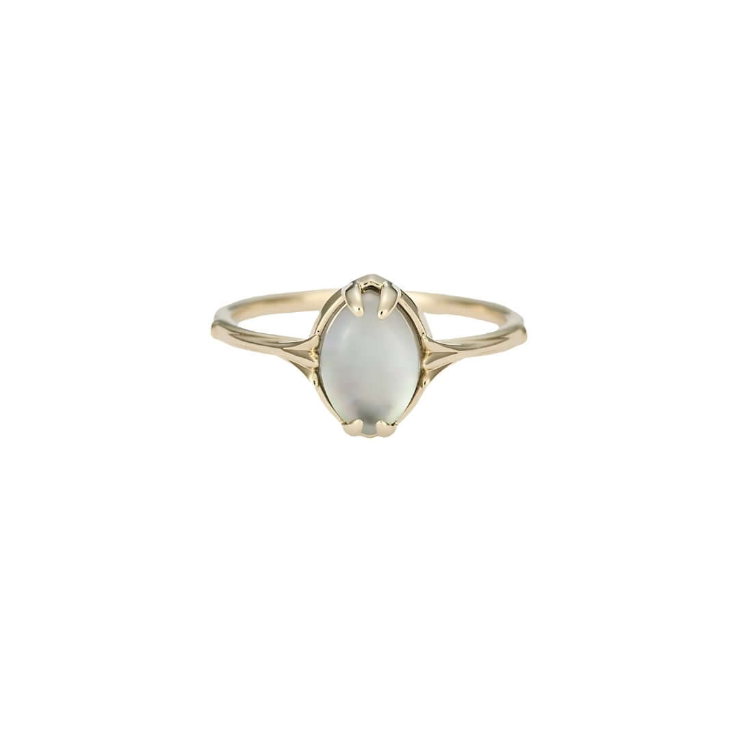 Mystery Black Shell Clear Quartz Gemstone Rings