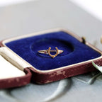 Antique Red Corundum Wisdom Horseshoe Ring | HJ189