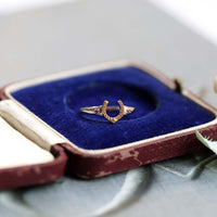 Antique Red Corundum Wisdom Horseshoe Ring | HJ189