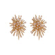 Fireworks Star Burst Diamond Stud Earrings 