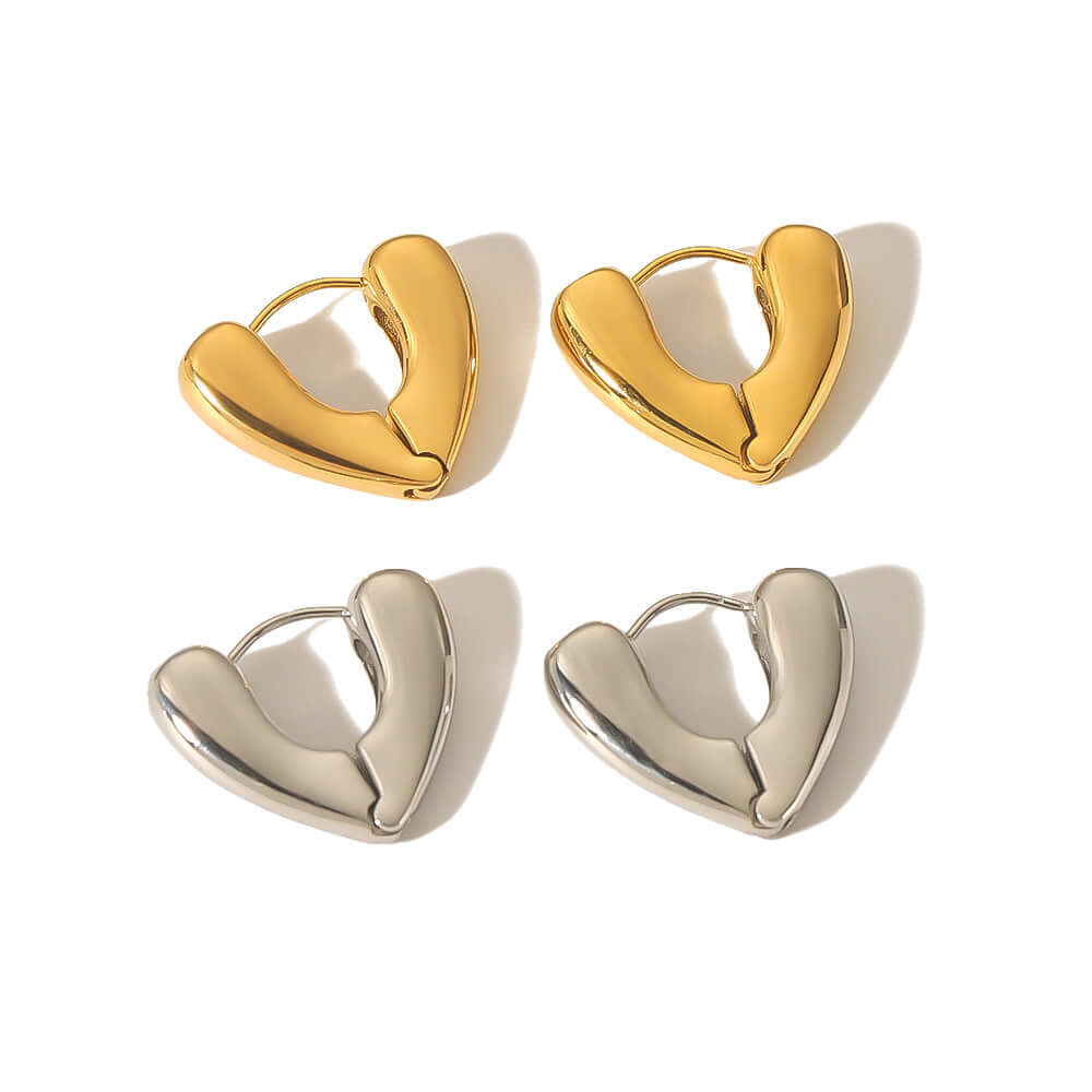 Gold Silver Hoop Earrings