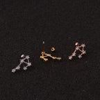 20G Surgical Steel Zodiac Cartilage Stud Earrings