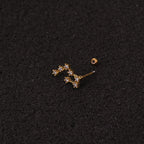 20G Surgical Steel Zodiac Cartilage Stud Earrings