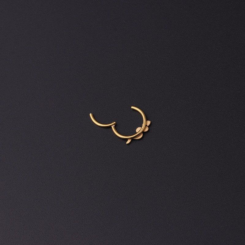 nose ring, nose stud, nose piercing, gold nose ring, fake nose ring, nose piercing jewelry, nose ring hoop, body piercing, body jewelry