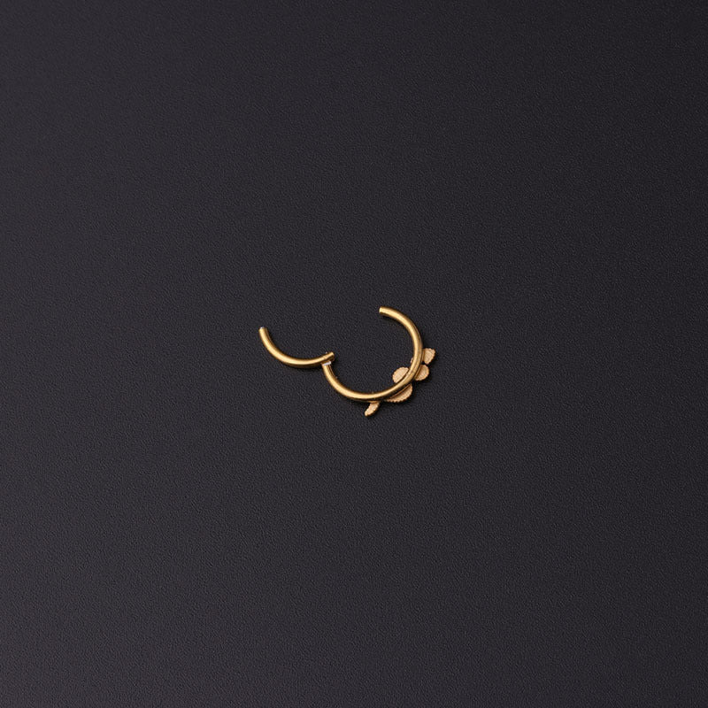 nose ring, nose stud, nose piercing, gold nose ring, fake nose ring, nose piercing jewelry, nose ring hoop, body piercing, body jewelry