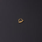 nose ring, nose stud, nose piercing, gold nose ring, fake nose ring, nose piercing jewelry, nose ring hoop, body piercing, body jewelry