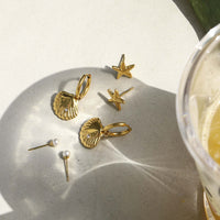 Vacation Conch Shell Mini Crab Studs