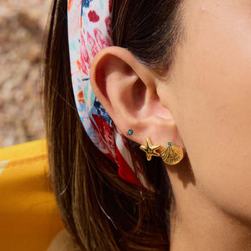 Vacation Conch Shell Mini Crab Studs