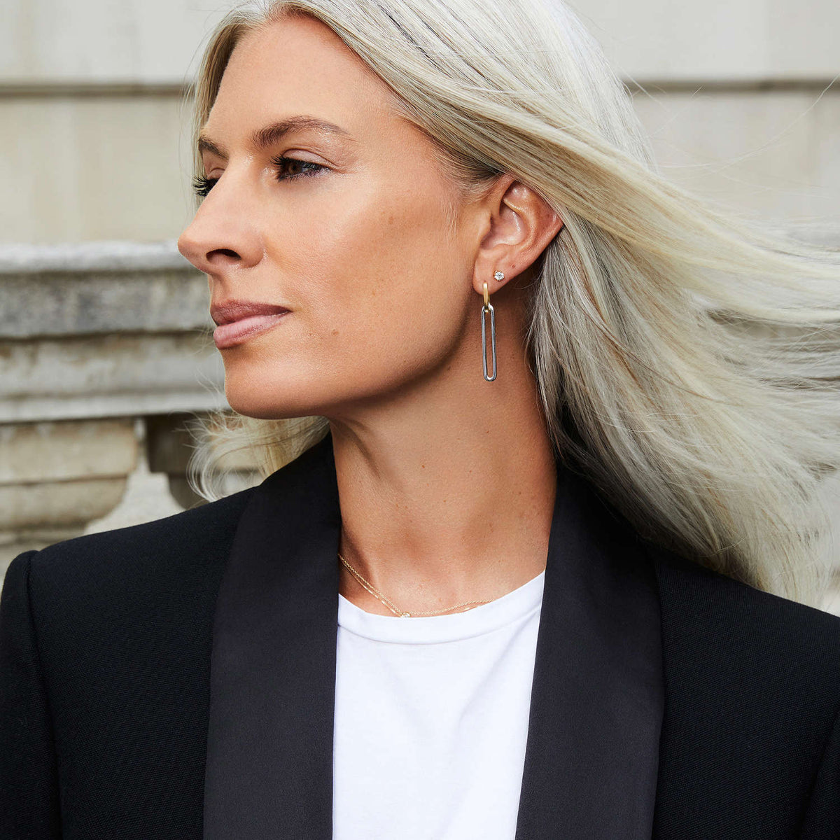 Rectangular Duo Tones Double Rings Earrings