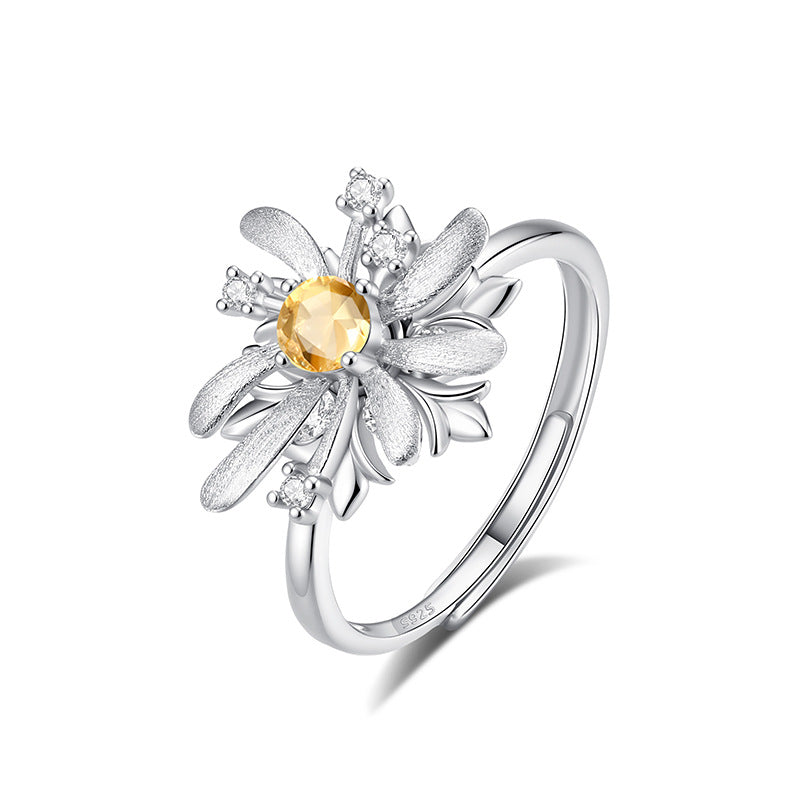 Rotation Fireworks Amethyst Fidget Ring