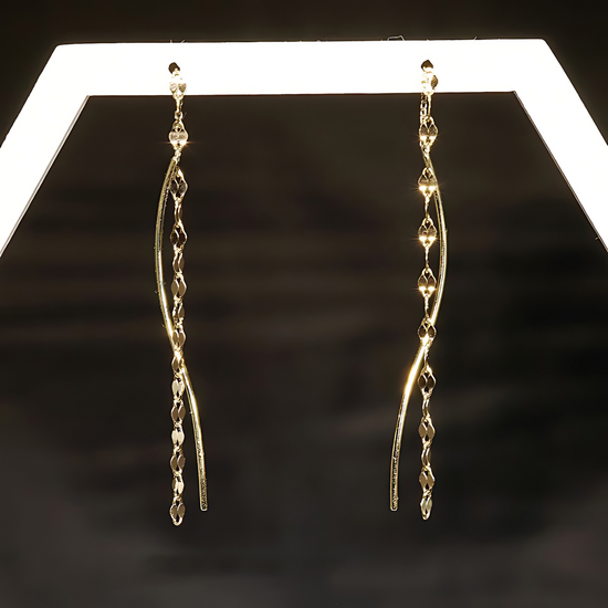 Minimal Lip Chain Tassel Spiral Earrings 