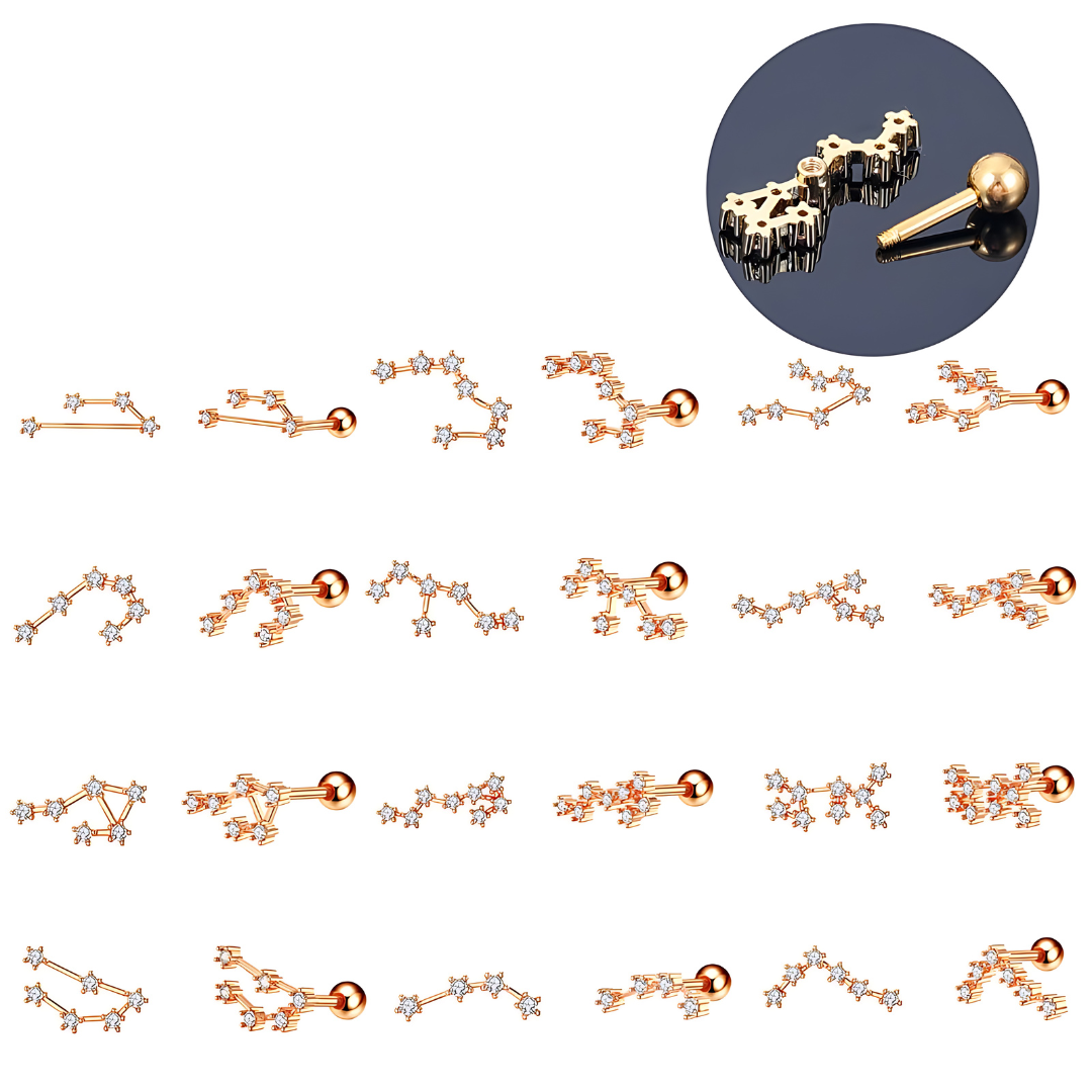 20G Surgical Steel Zodiac Cartilage Stud Earrings