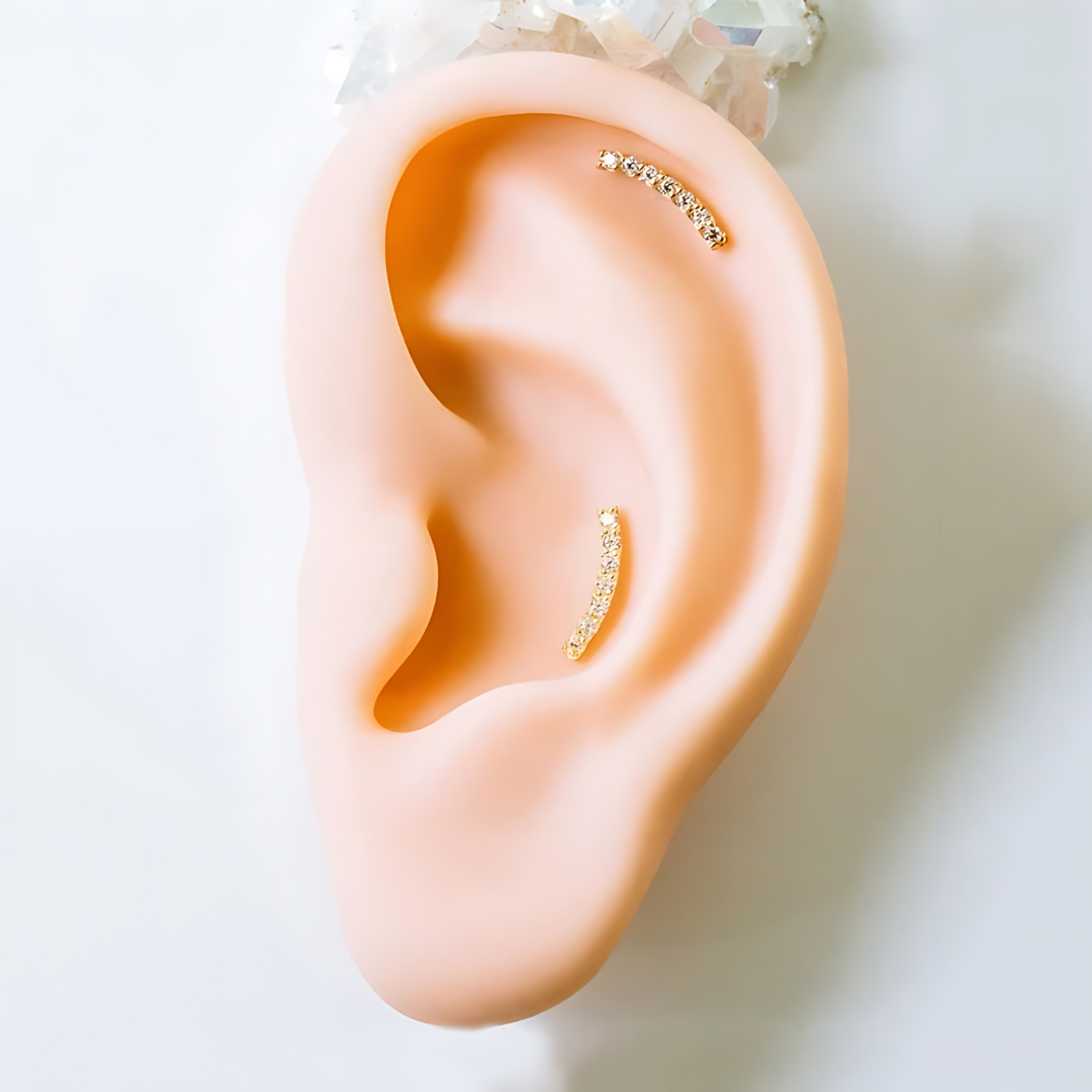 16G Upper Lobe Tiny Bar Conch Stud